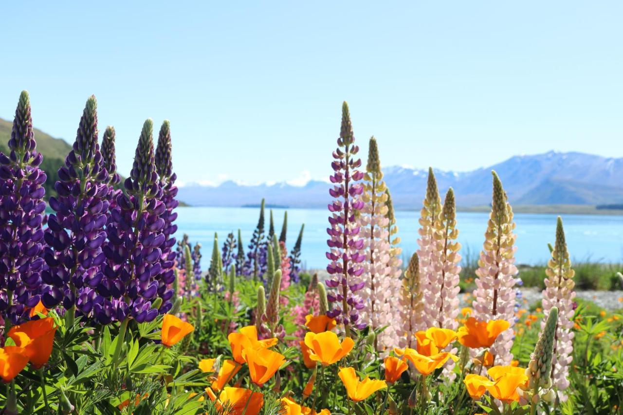 Mt Sefton Villa Lake Tekapo Eksteriør billede